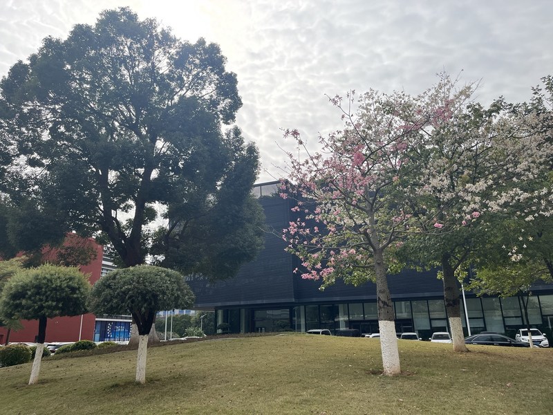 Guangzhou Fuheng Auto Parts Supply Chain Co., Ltd.