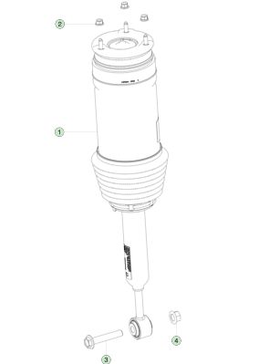 Rear Adaptive Air Spring Module Right Hand 1027067-00-D Aluminum
