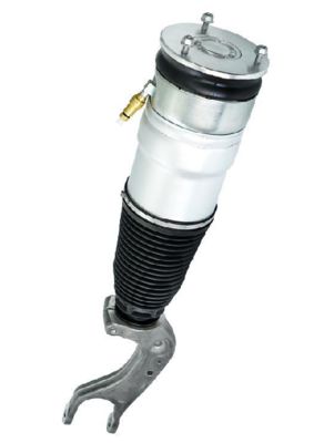 Tesla Model S Rear Air Spring Module for Dual Motor 2012-2021